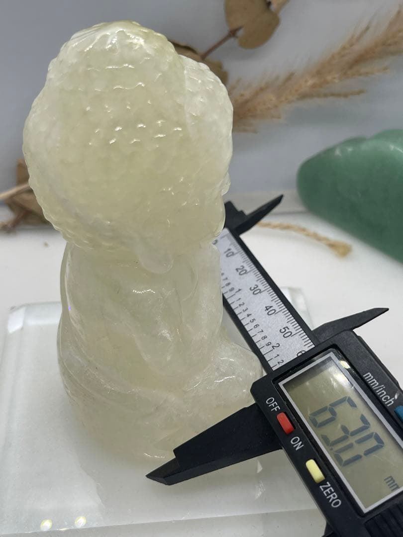 くまごろう様8【1910】 大仏様  シトリンA