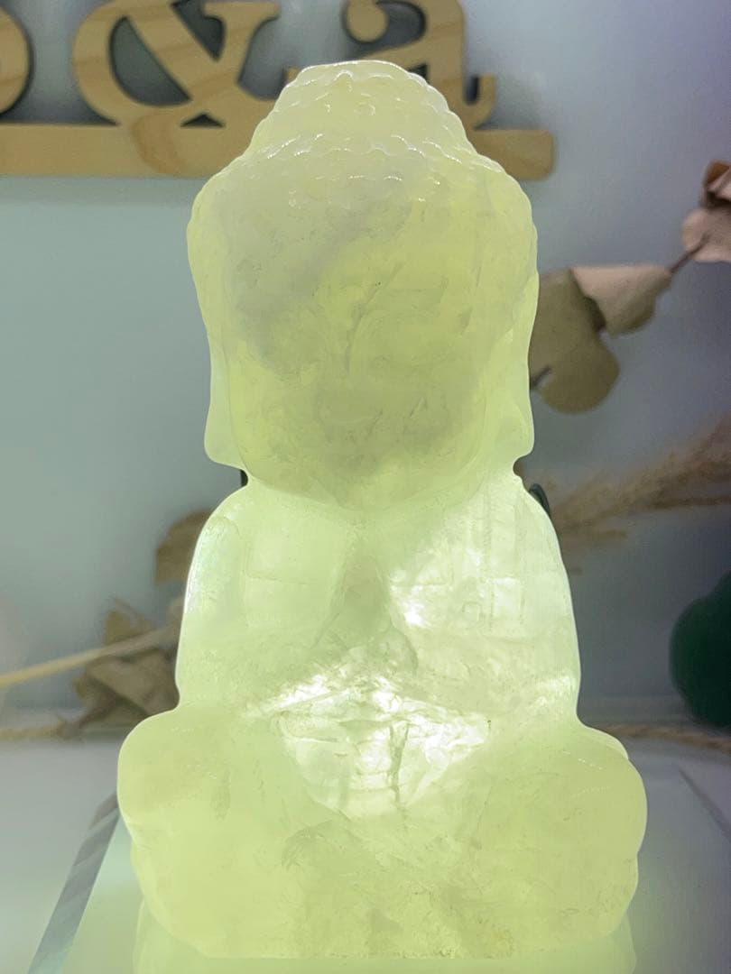 くまごろう様8【1910】 大仏様  シトリンA