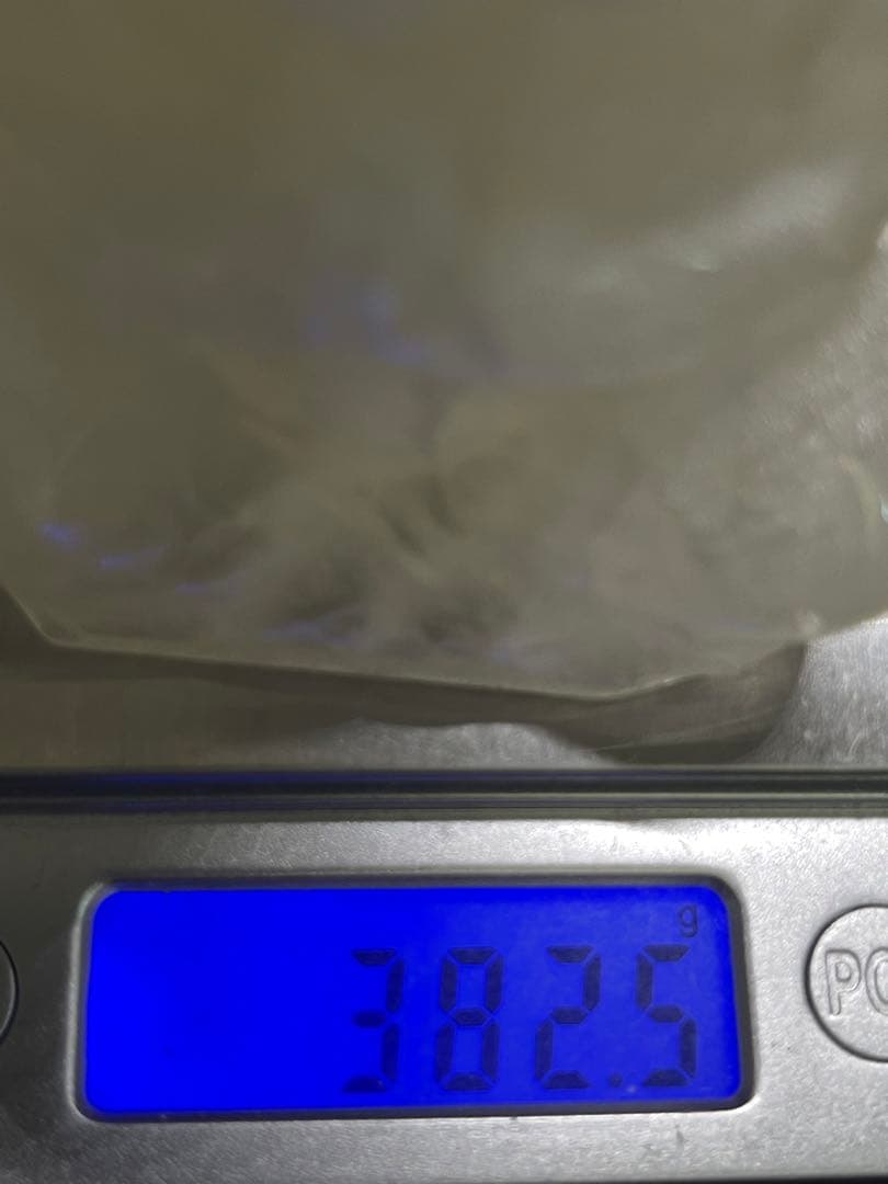 くまごろう様8【1910】 大仏様  シトリンA