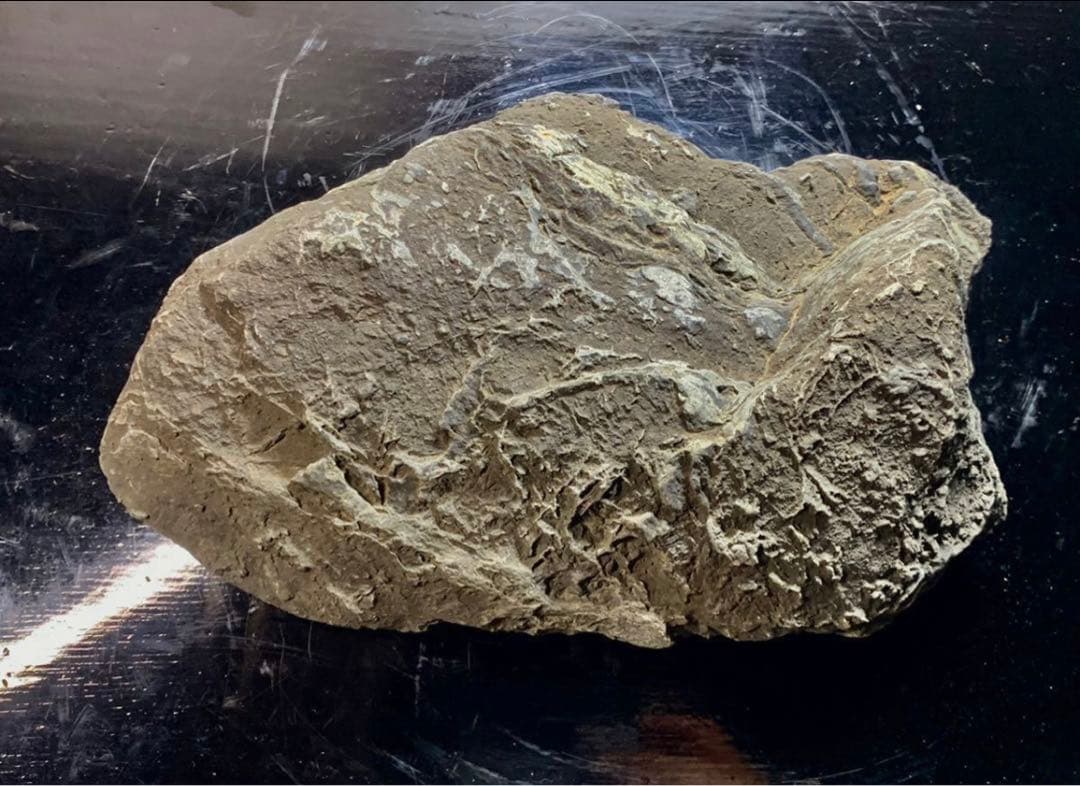 4211 粕川石 ウブ 横25×高10(cm) 4.64kg