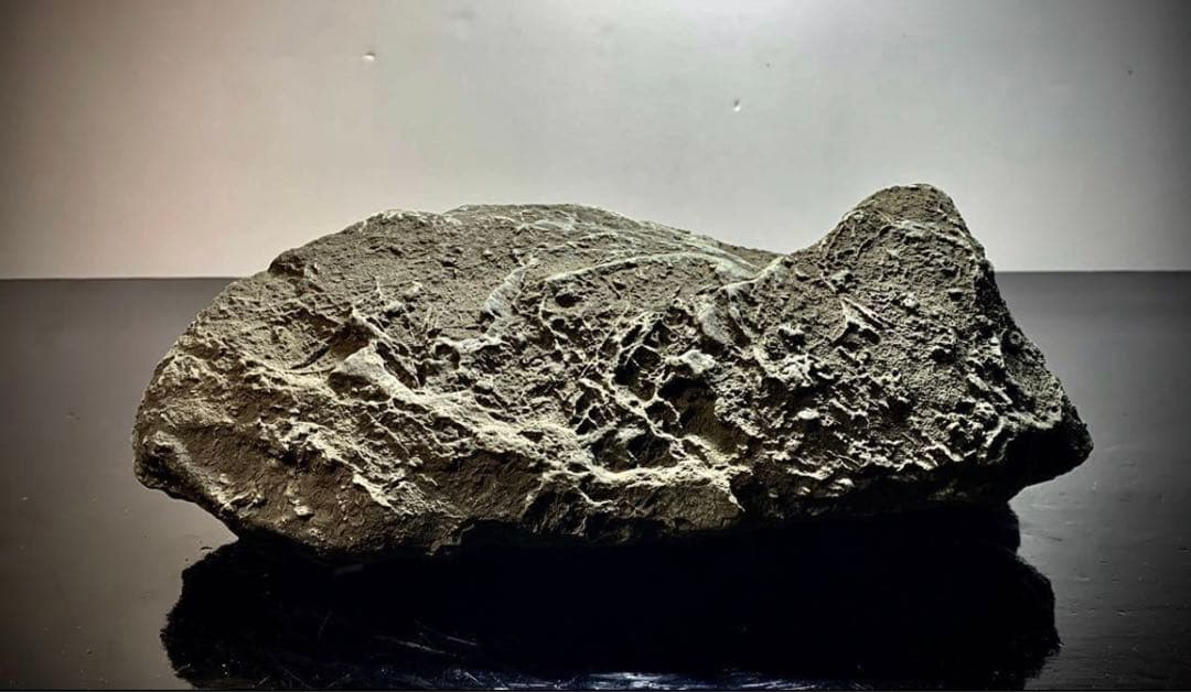 4211 粕川石 ウブ 横25×高10(cm) 4.64kg