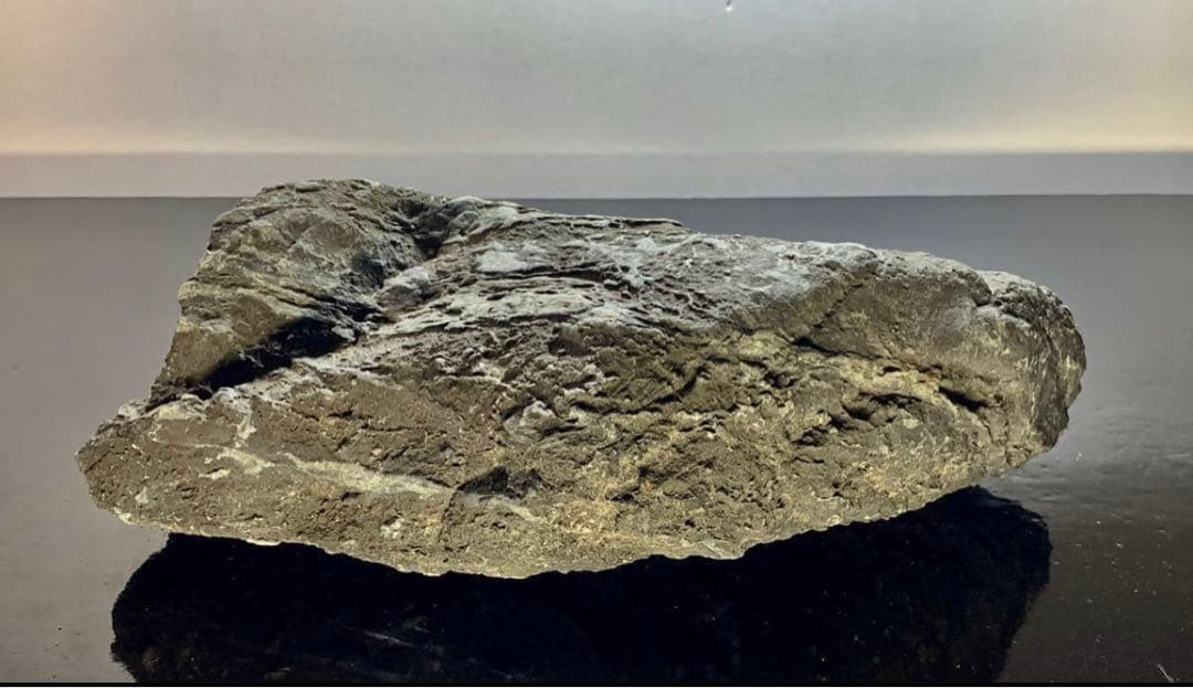 4211 粕川石 ウブ 横25×高10(cm) 4.64kg