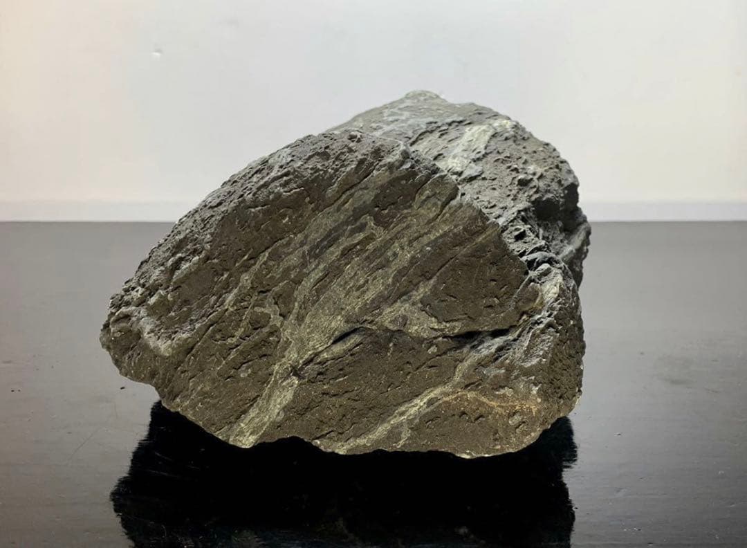 4211 粕川石 ウブ 横25×高10(cm) 4.64kg