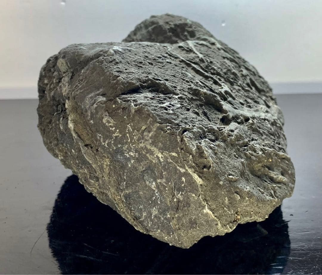 4211 粕川石 ウブ 横25×高10(cm) 4.64kg