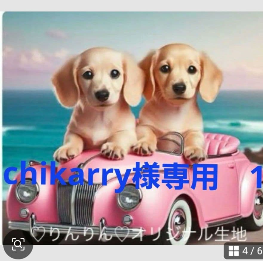 chikarry様御確認用♪