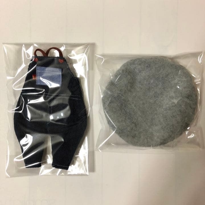 ウィンタリッシュアルーア　カスタムブライス　ネオブライス　アウトフィット