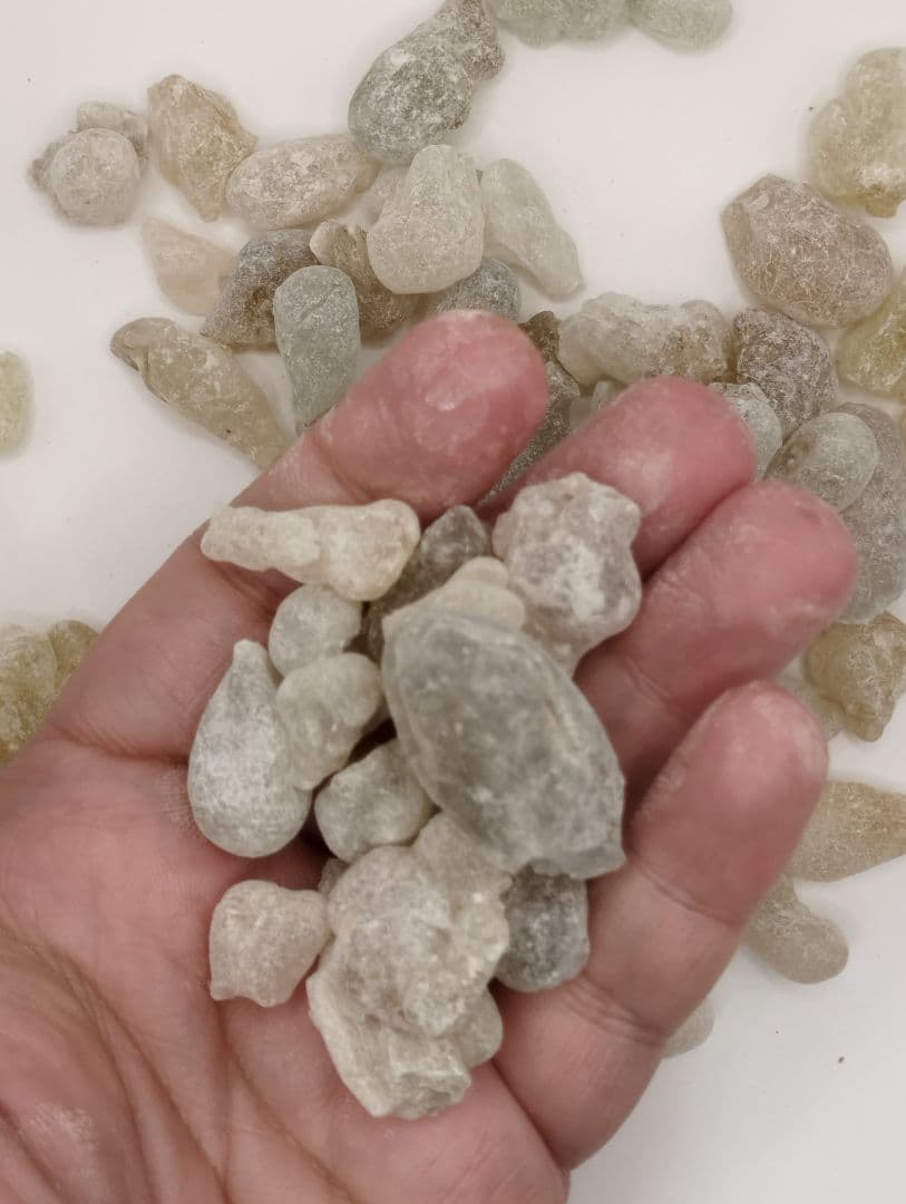 ローヤルグリーンホジャリオマーン産最高級フランキンセンスの王様1KG業務用お得