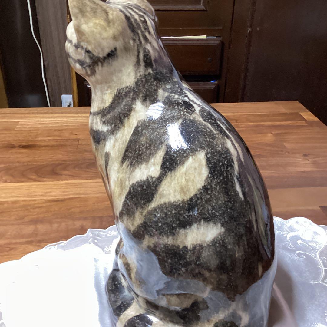 ウィンスタンレーキャット、ケンジントンキャットサイズ6の大きな猫