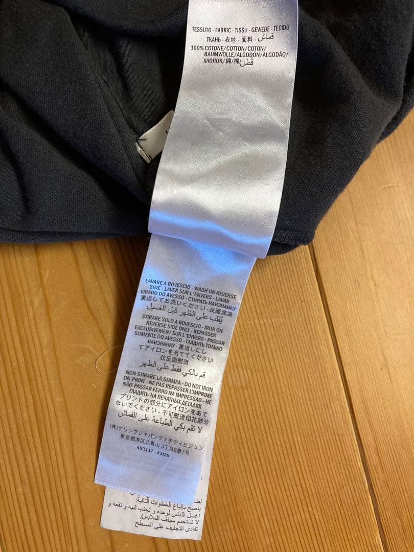 肉質画河崎久二薔薇