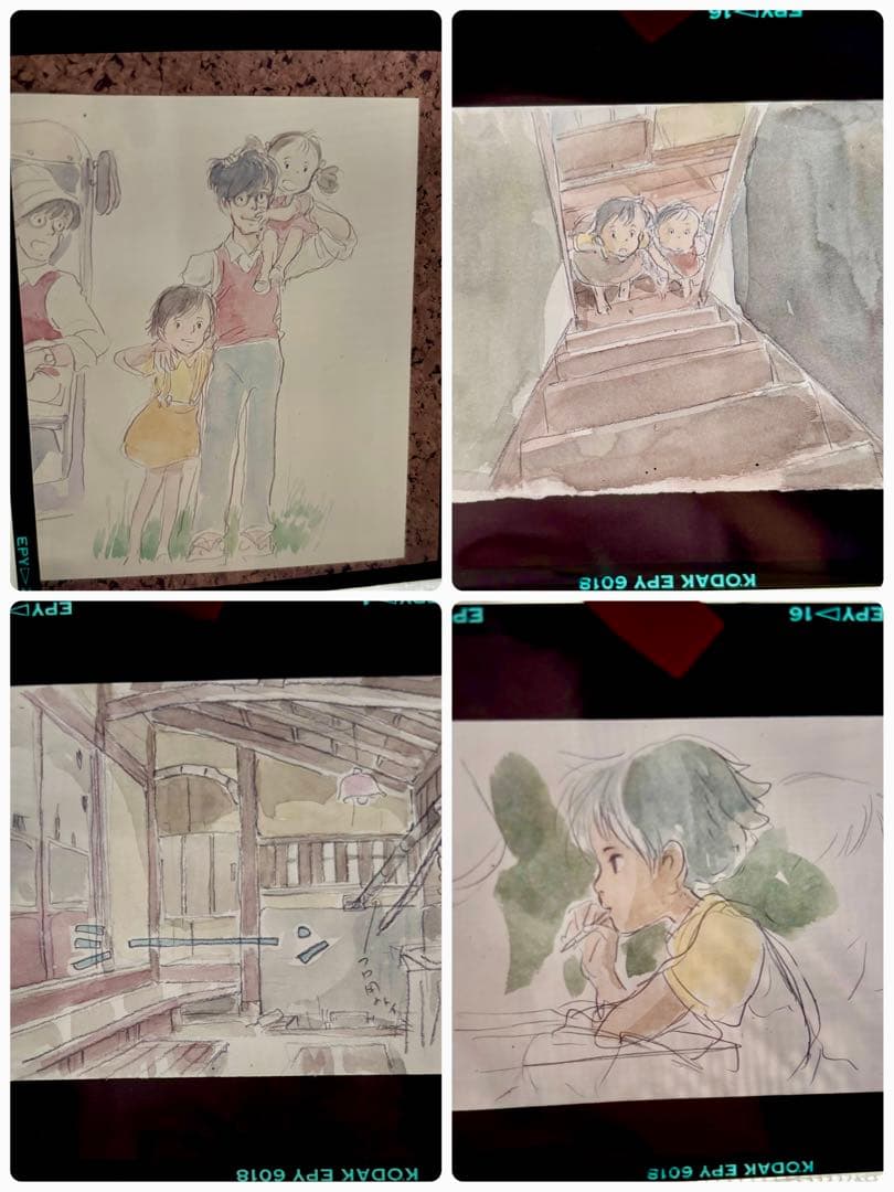 D*d様 ジブリ 原画イラスト フィルム 23枚