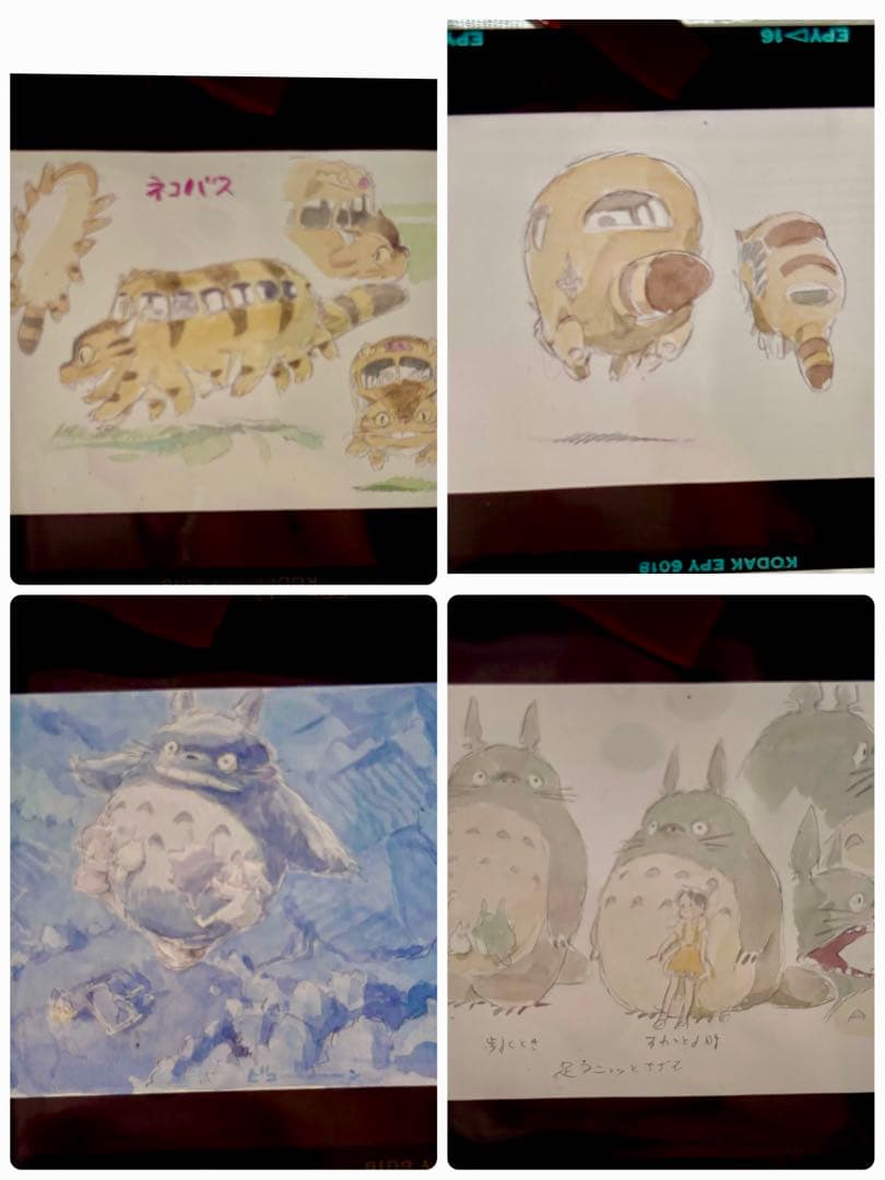 D*d様 ジブリ 原画イラスト フィルム 23枚