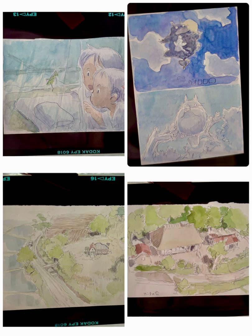 D*d様 ジブリ 原画イラスト フィルム 23枚