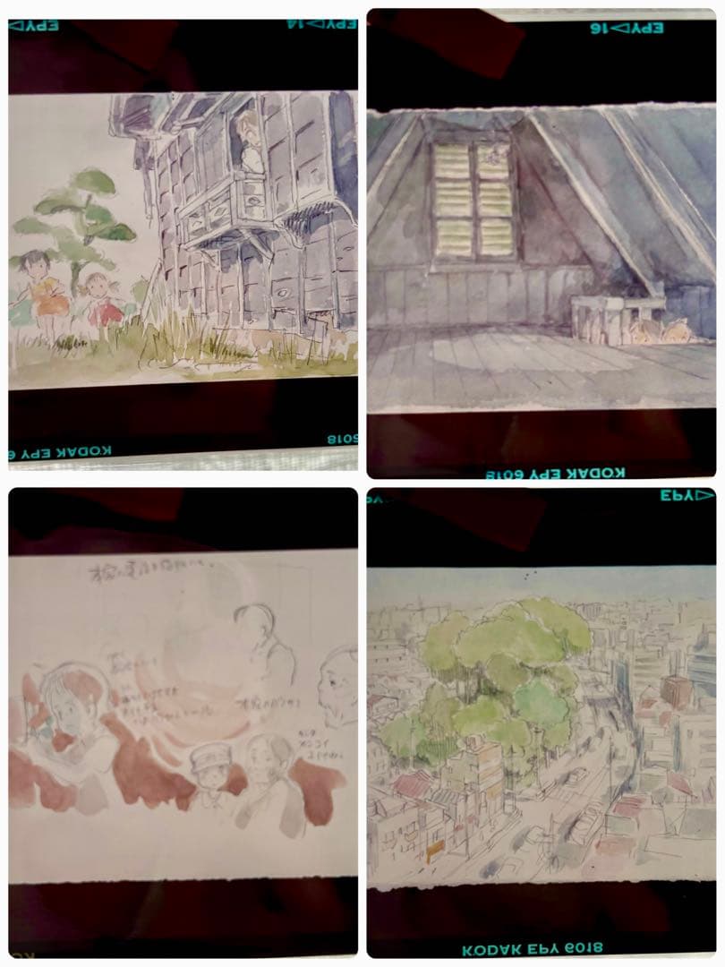 D*d様 ジブリ 原画イラスト フィルム 23枚
