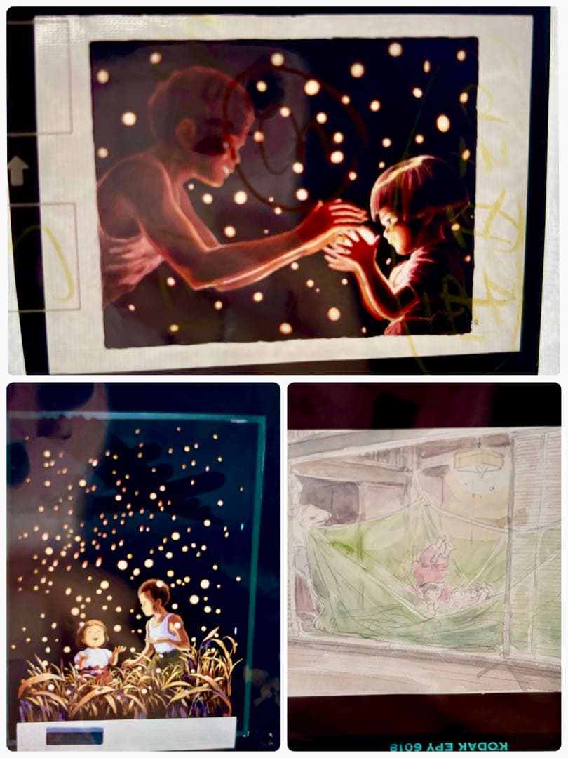 D*d様 ジブリ 原画イラスト フィルム 23枚