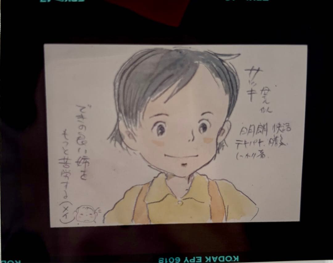 D*d様 ジブリ 原画イラスト フィルム 23枚