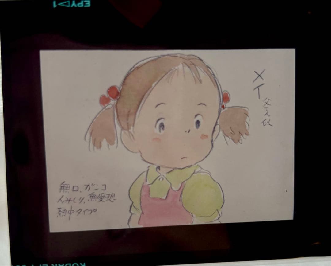 D*d様 ジブリ 原画イラスト フィルム 23枚