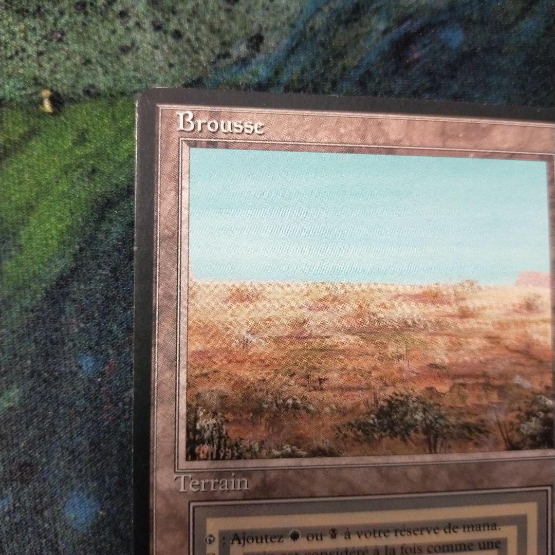 MTG scrubland フランス語版　FBB 黒枠