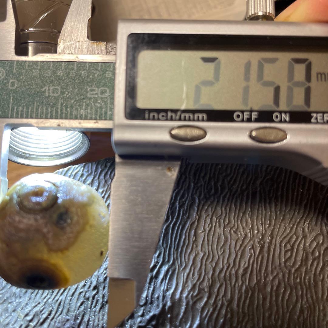 アラシャンゴビ目石瑪瑙5個セット(半透明)