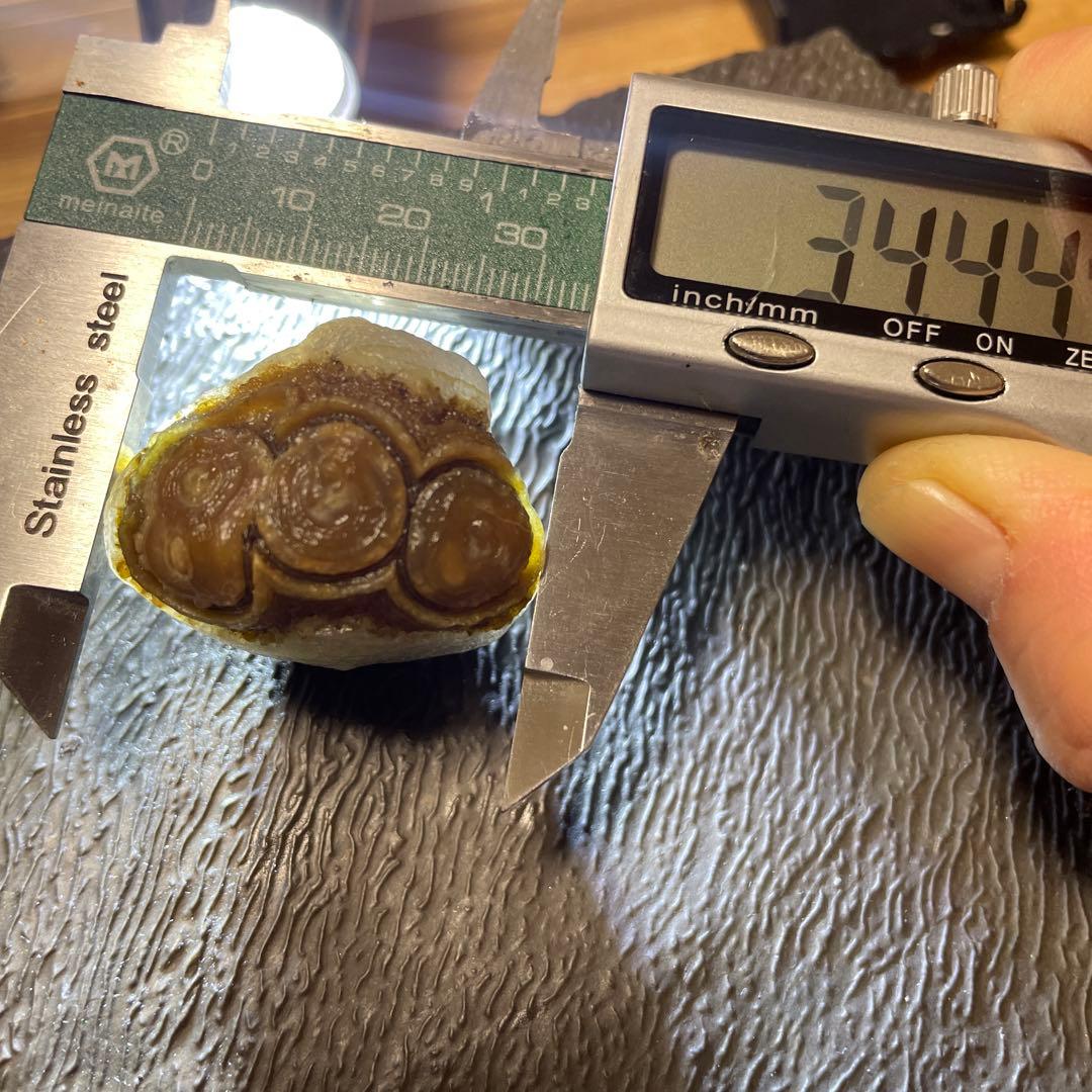 アラシャンゴビ目石瑪瑙5個セット(半透明)