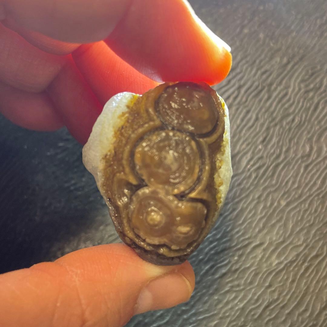 アラシャンゴビ目石瑪瑙5個セット(半透明)