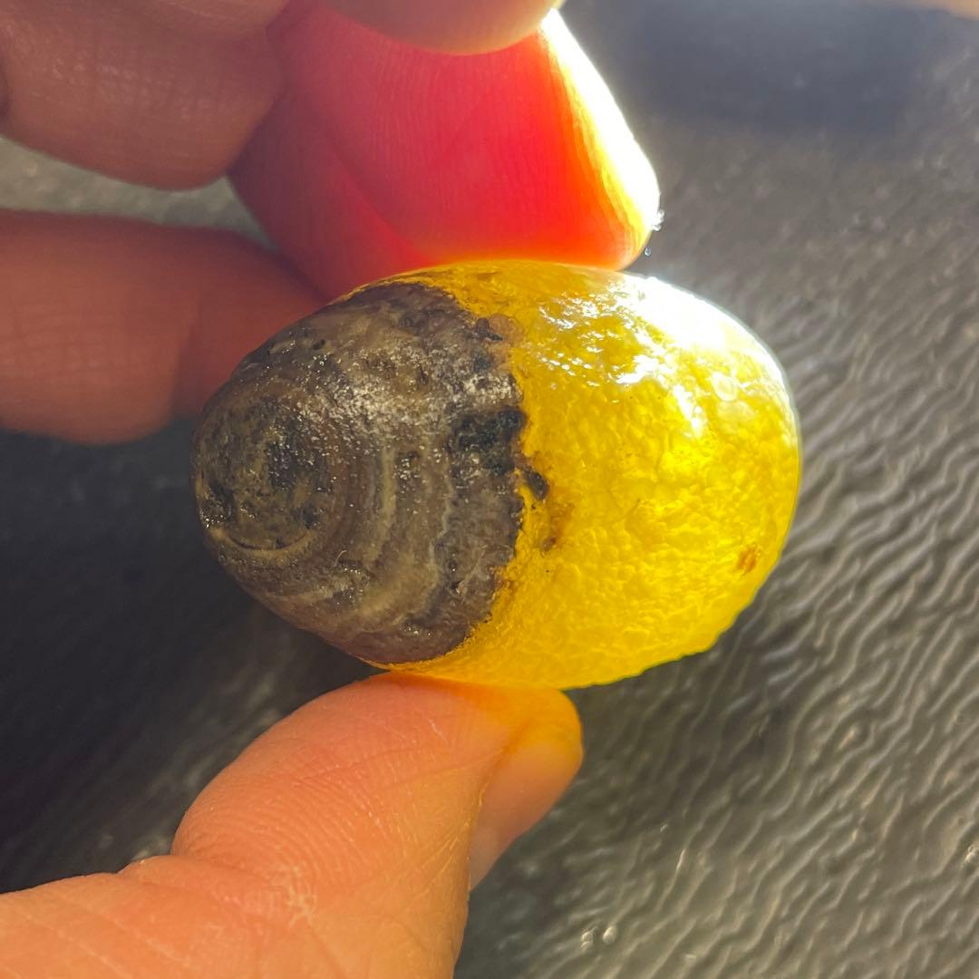 アラシャンゴビ目石瑪瑙5個セット(半透明)