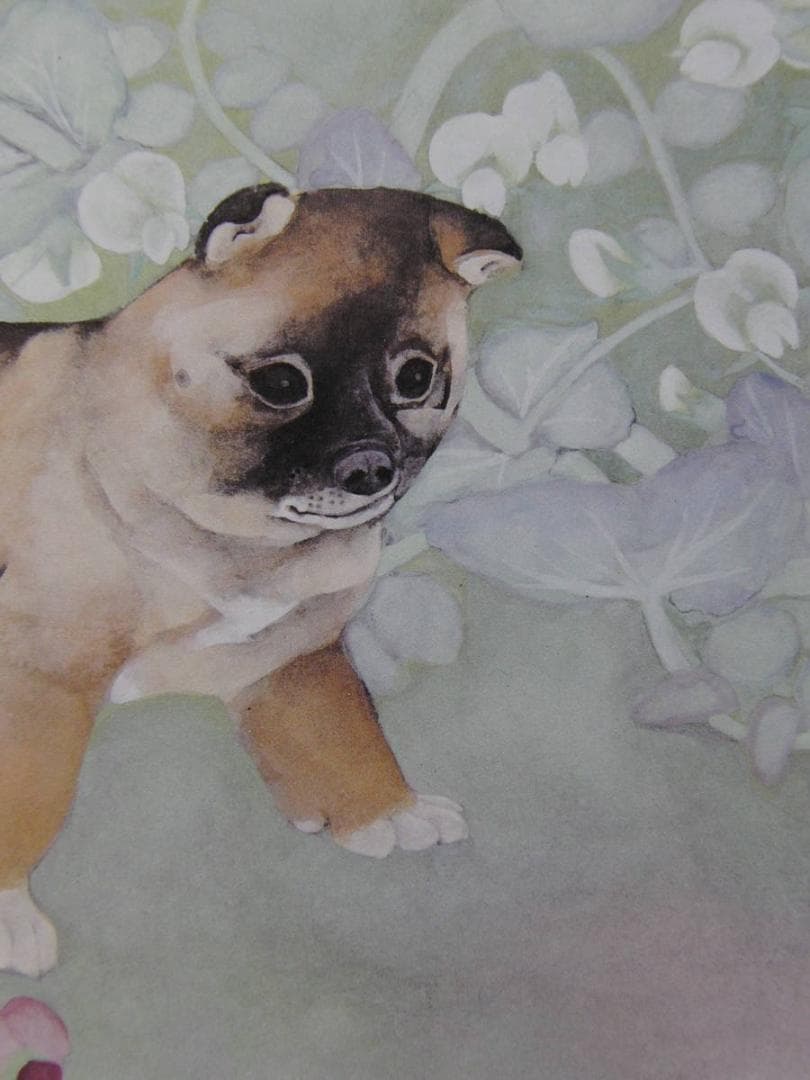 森田沙伊、【遅春】、希少な額装用画集より、新品額装付、状態良好