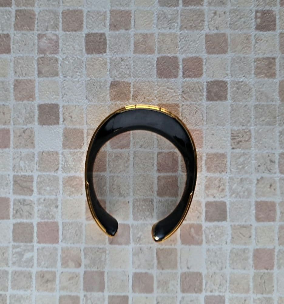 aiboプレミアムプラン2019～2020年 限定品 ゴールド首輪