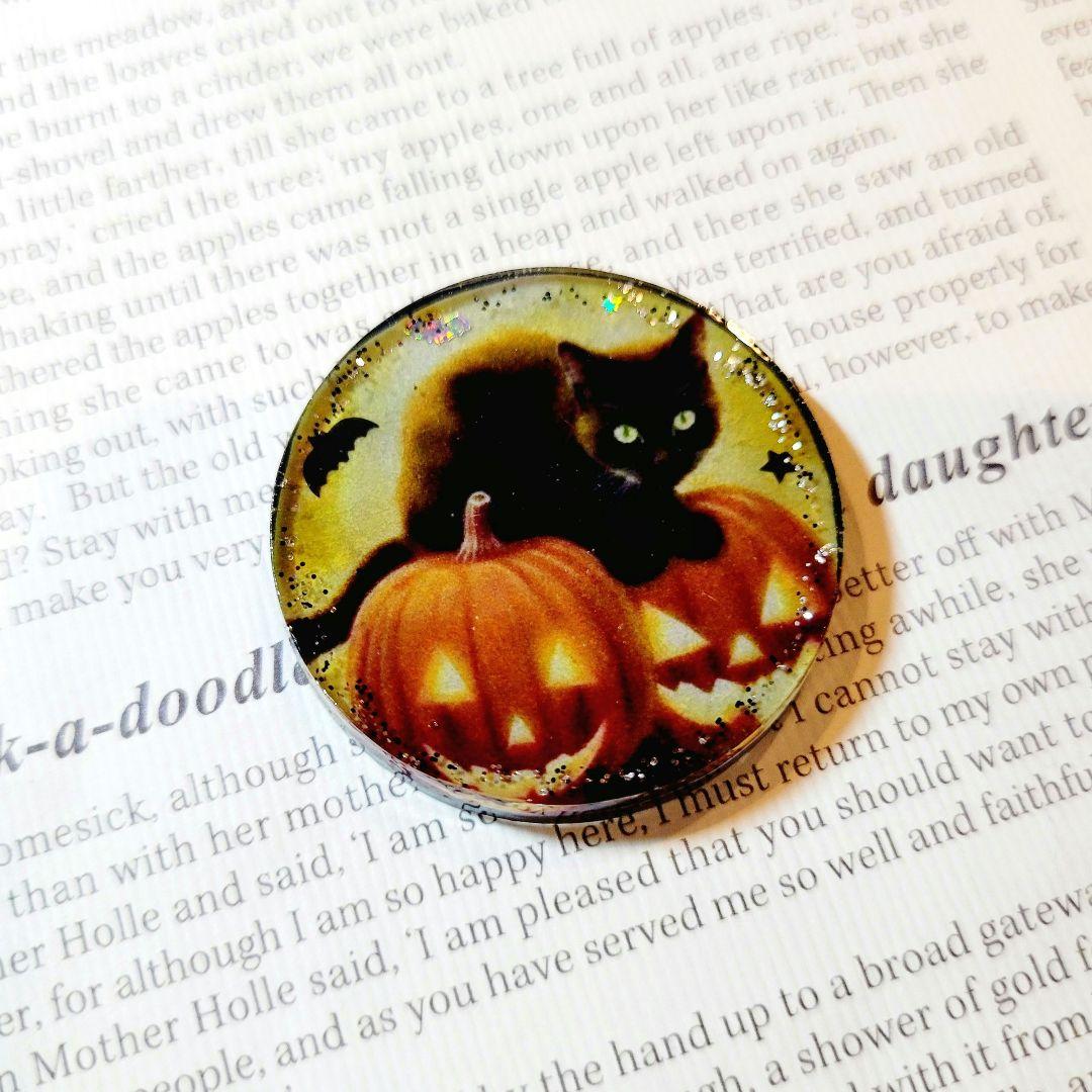NO.364❤黒猫 ハロウィン❤レジンヘアゴム ブローチ