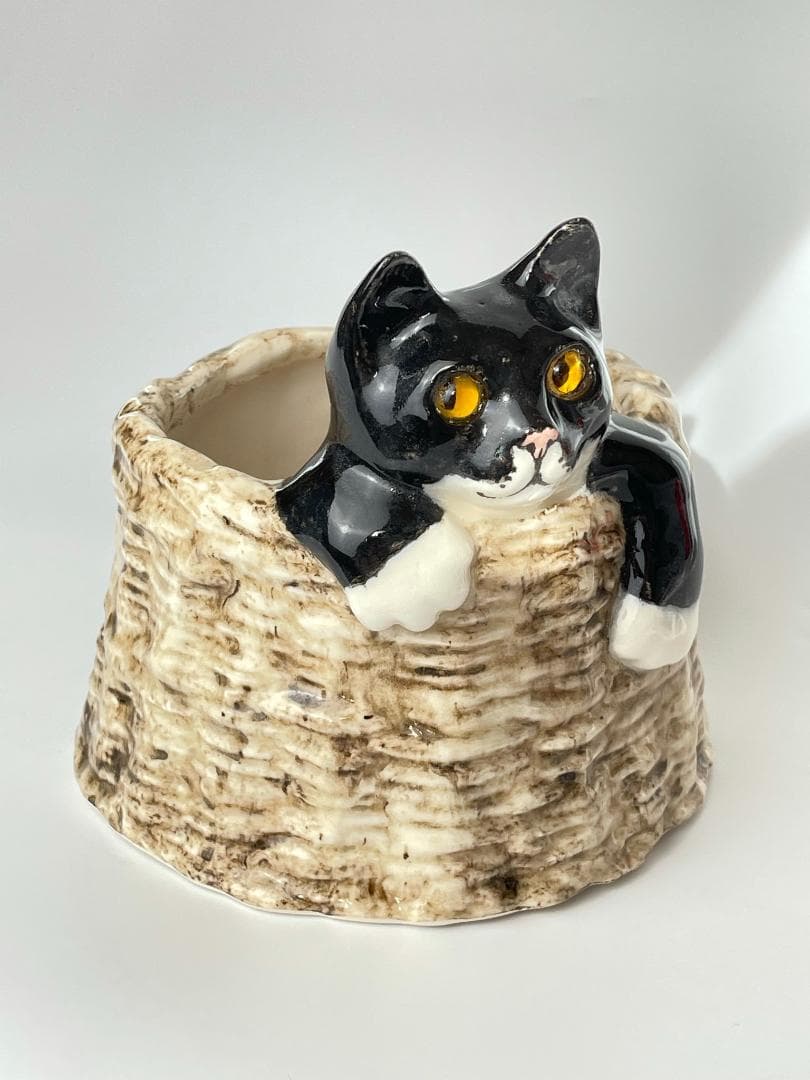 ウィンスタンレイ　ケンジントンキャット　サイズ４