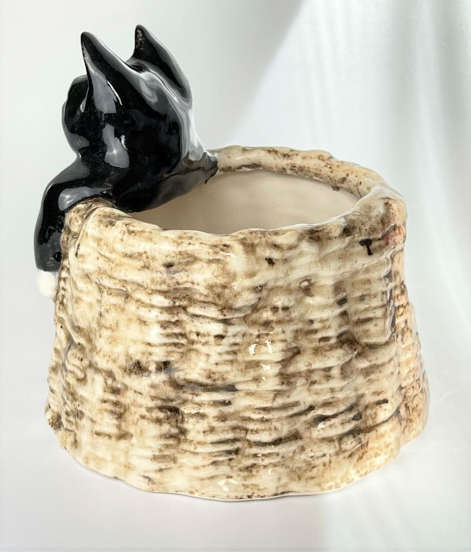 ウィンスタンレイ　ケンジントンキャット　サイズ４