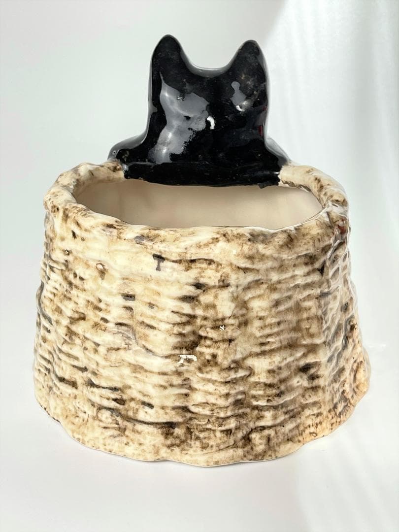 ウィンスタンレイ　ケンジントンキャット　サイズ４