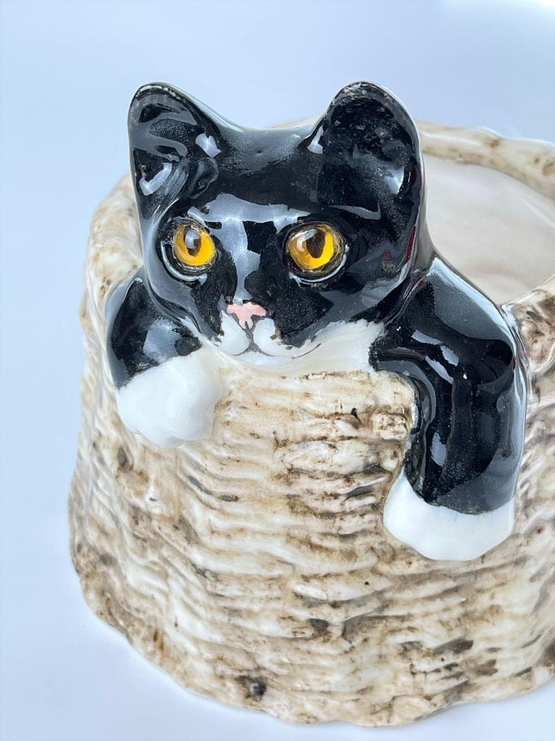 ウィンスタンレイ　ケンジントンキャット　サイズ４