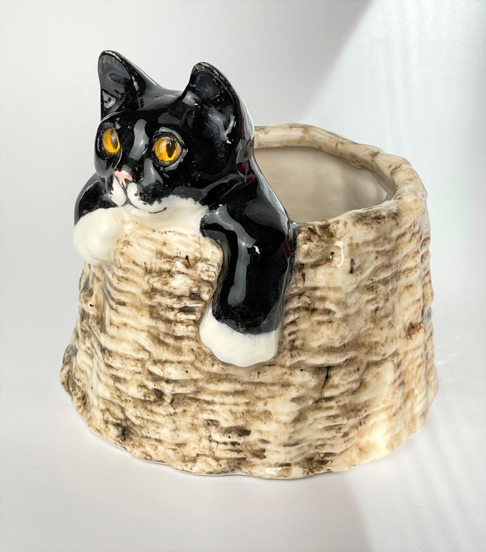 ウィンスタンレイ　ケンジントンキャット　サイズ４