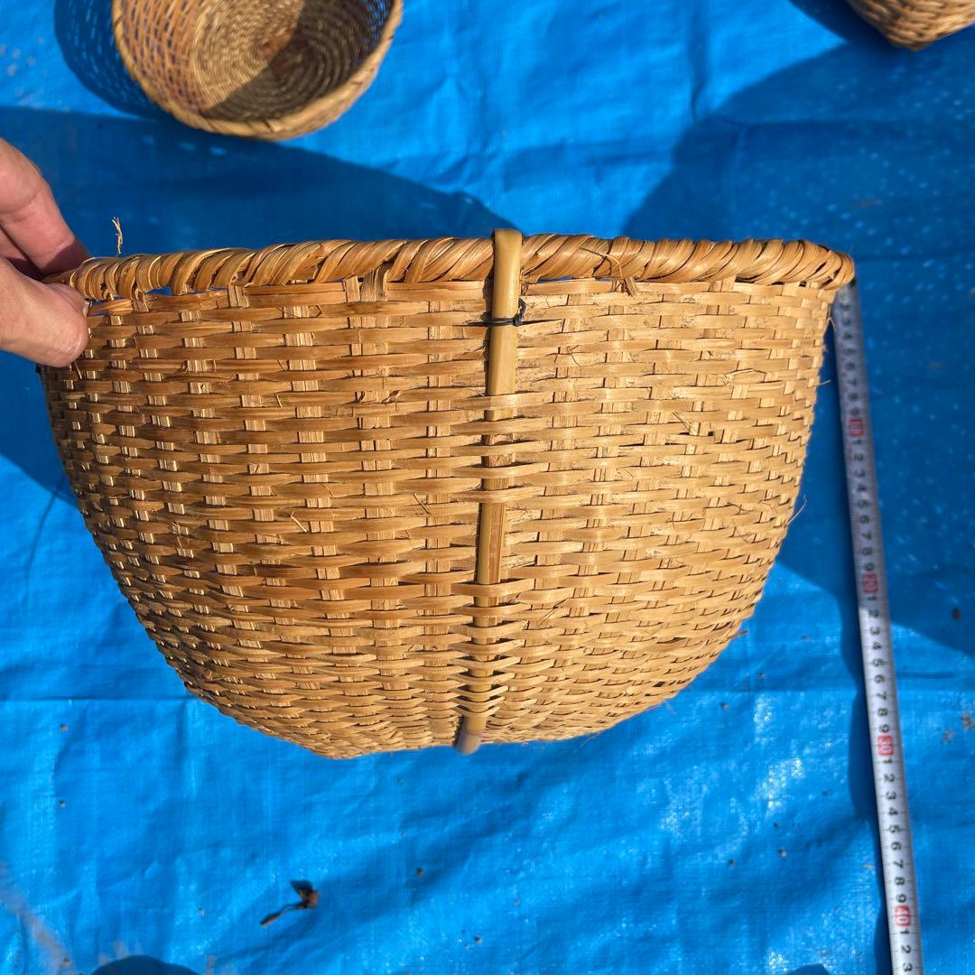 マタタビの籠 23番