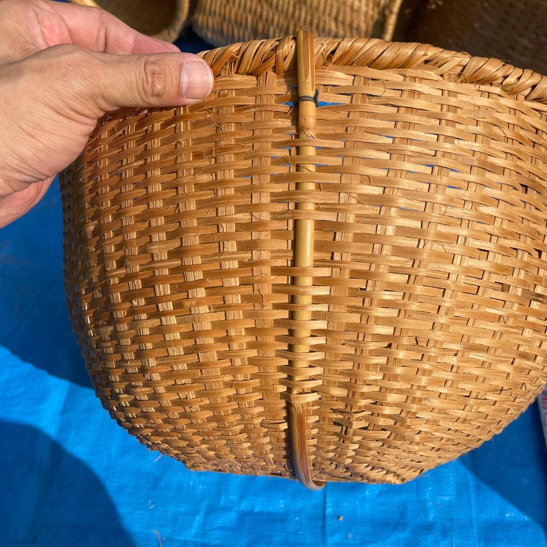 マタタビの籠 23番