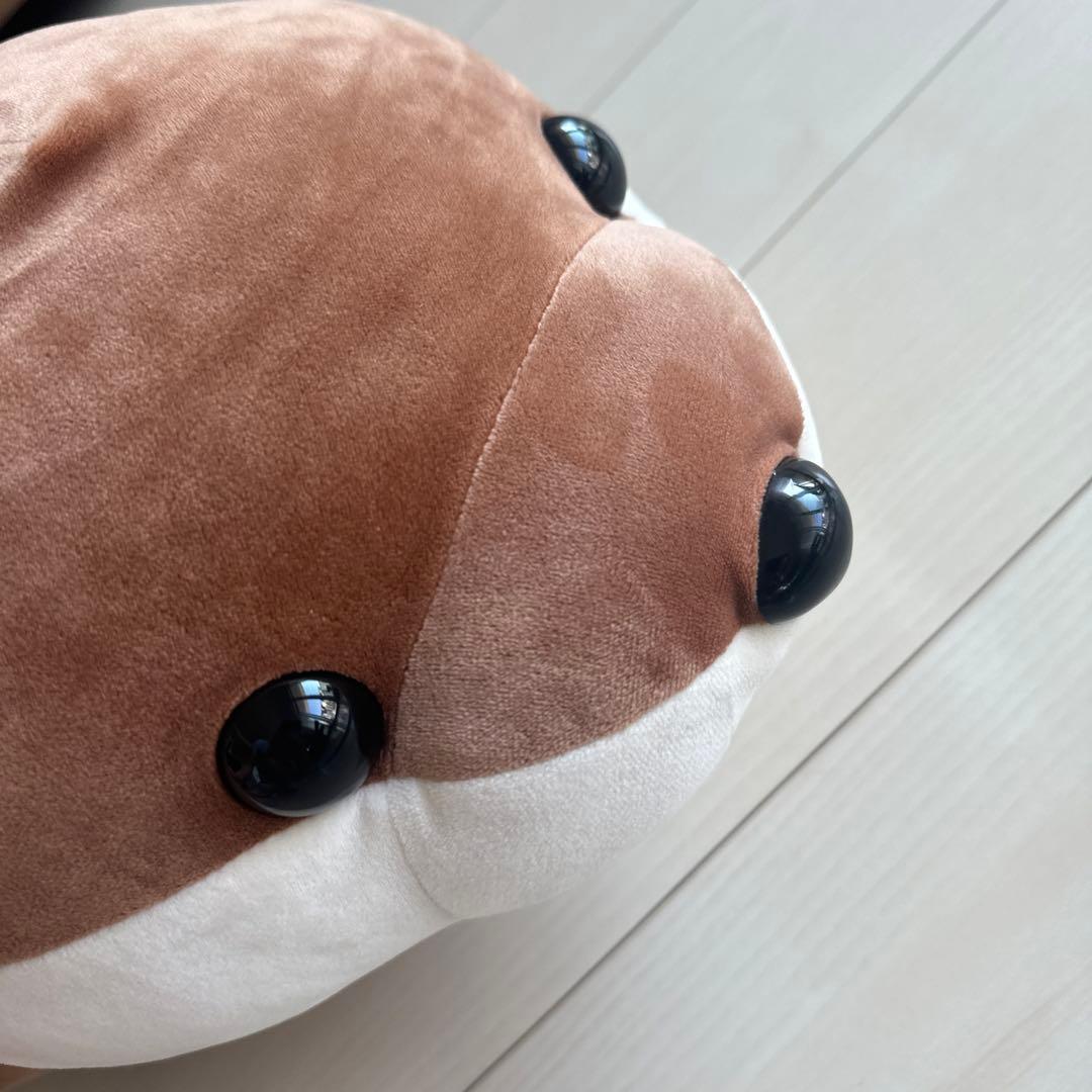 レア 水族館 カワウソ 90cm 特等 特賞 ハッピーマリン - メルカリ