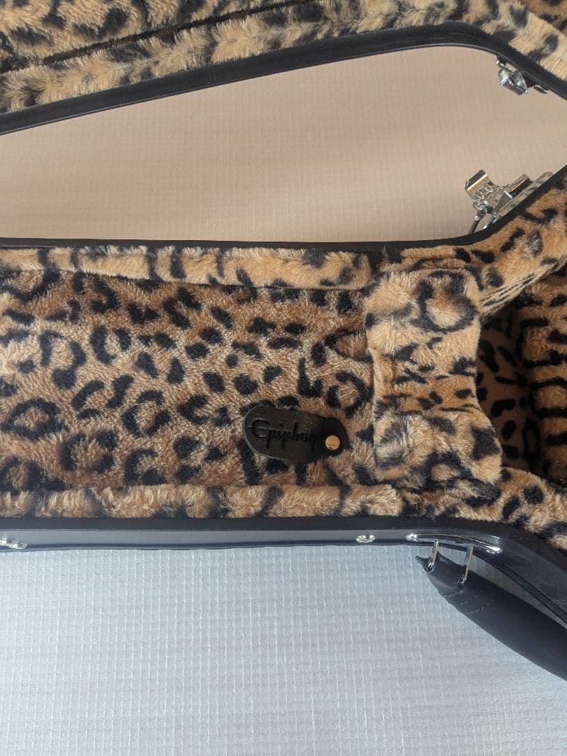 Epiphone ギターケースGREENDAYモデル　レスポールジュニア用