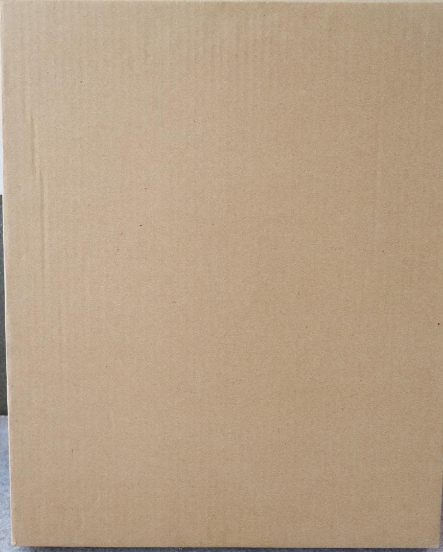 雪舞椿 『ゆきまいつばき』