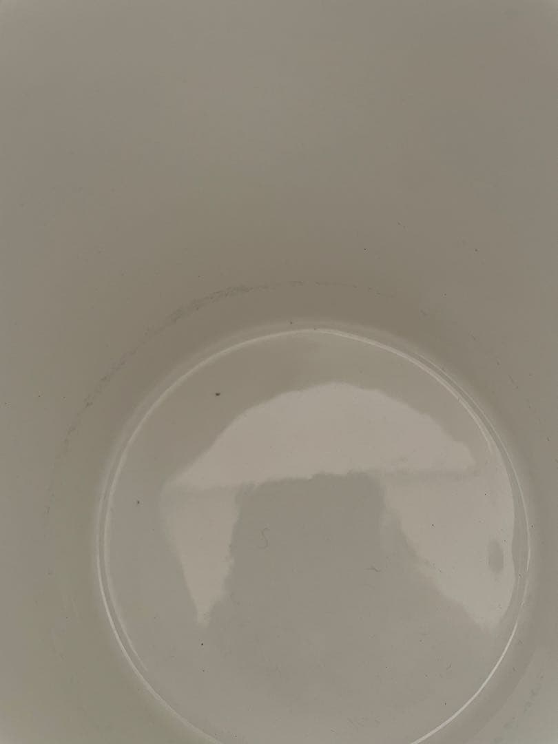 ステッグリンドベリ　テッラ　ウォーターピッチャー