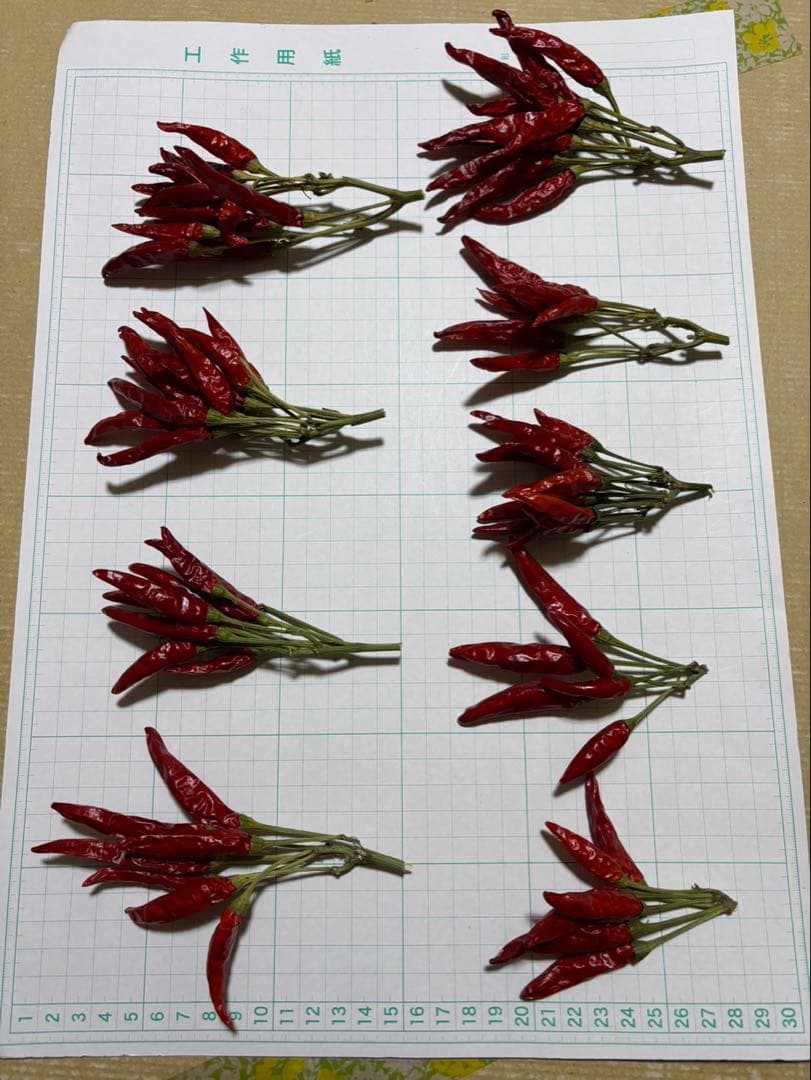 ドライフラワー トウガラシ タカノツメ