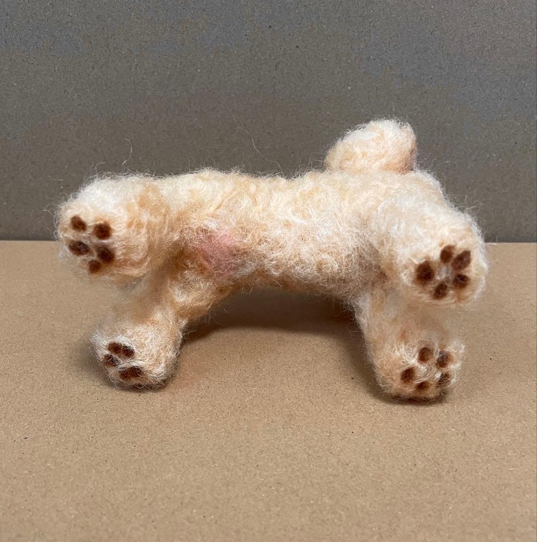 599♥︎トイプードル・羊毛フェルト❣️