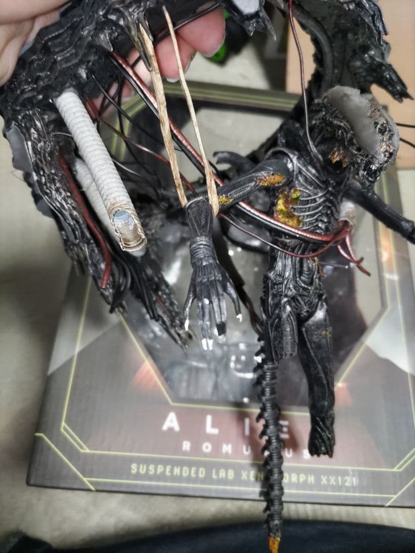 NECA ネカ サスペンデッド ラボ ゼノモーフ エイリアンロムルス - メルカリ