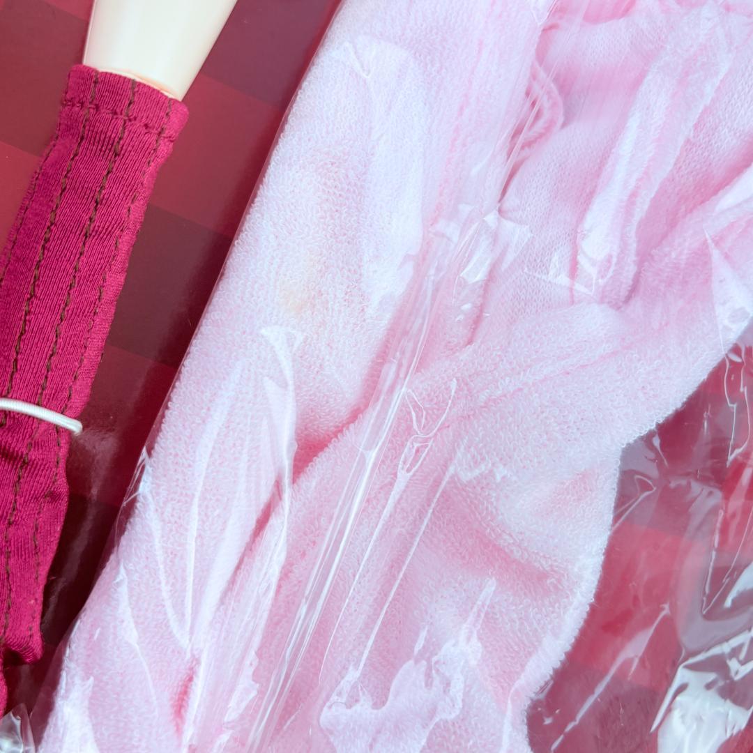 アクションフィギュアコレクション+ カレン・シュタットフェルト コードギアス