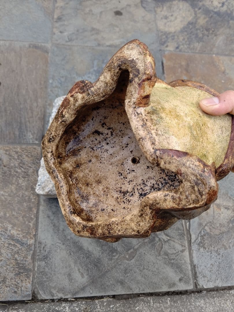 蛙 カエル かえる 陶器 置物 骨董品 アンティーク 信楽焼 開運 縁起物