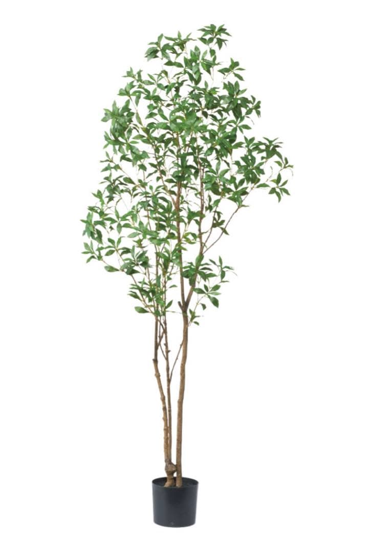 光触媒　人工観葉植物　ウォールグリーン　フェイクグリーン　アセビ210