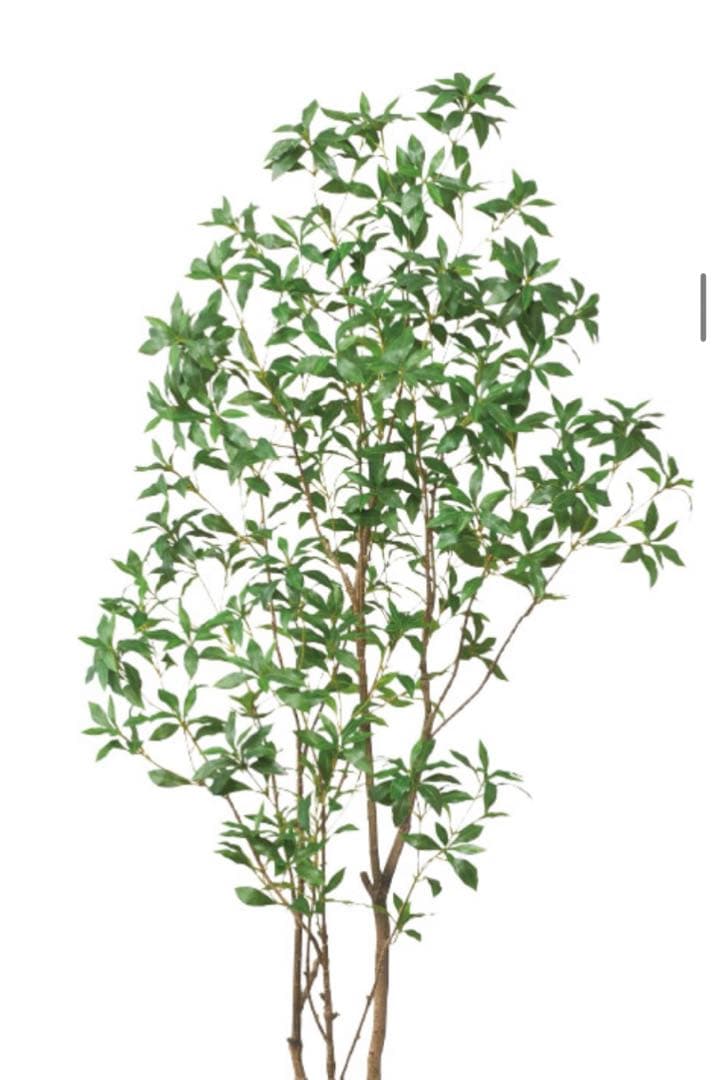 光触媒　人工観葉植物　ウォールグリーン　フェイクグリーン　アセビ210