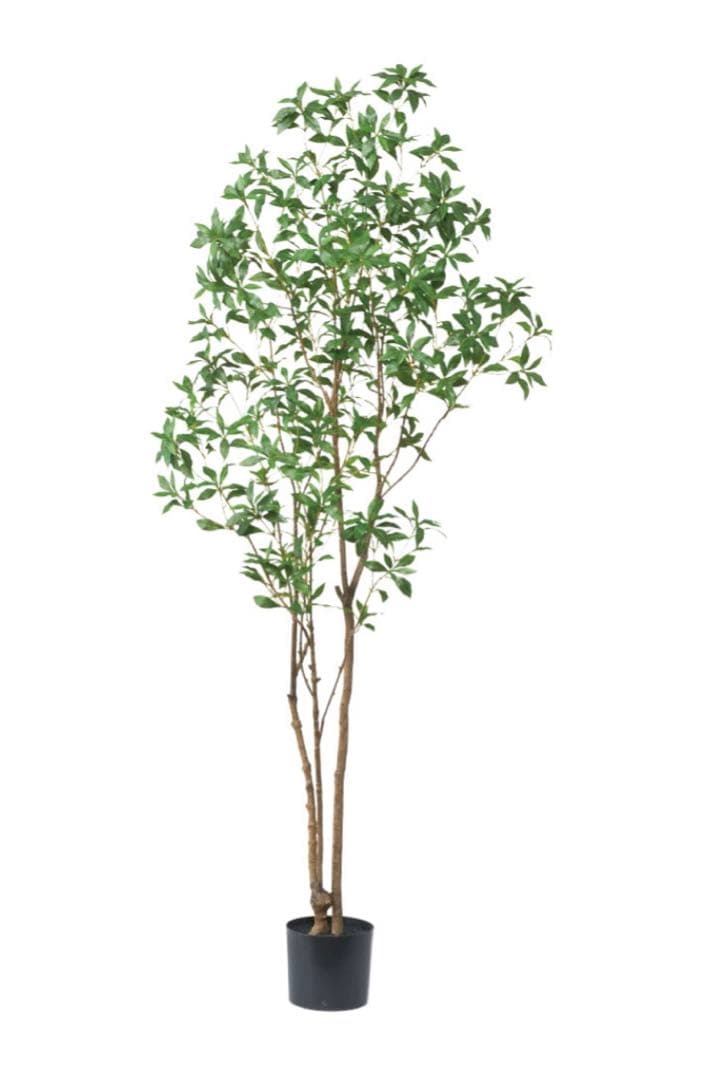 光触媒　人工観葉植物　ウォールグリーン　フェイクグリーン　アセビ210