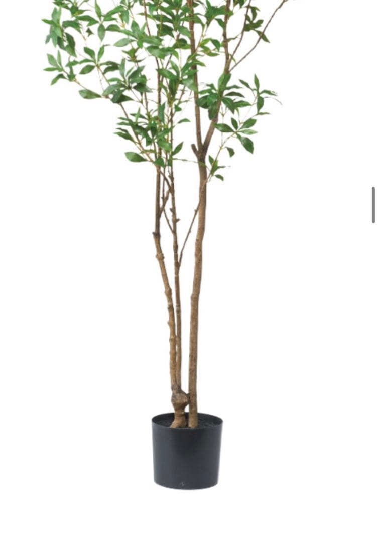 光触媒　人工観葉植物　ウォールグリーン　フェイクグリーン　アセビ210