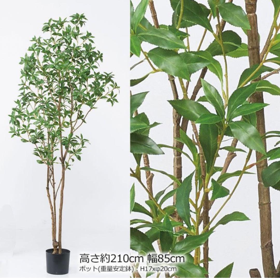 光触媒　人工観葉植物　ウォールグリーン　フェイクグリーン　アセビ210