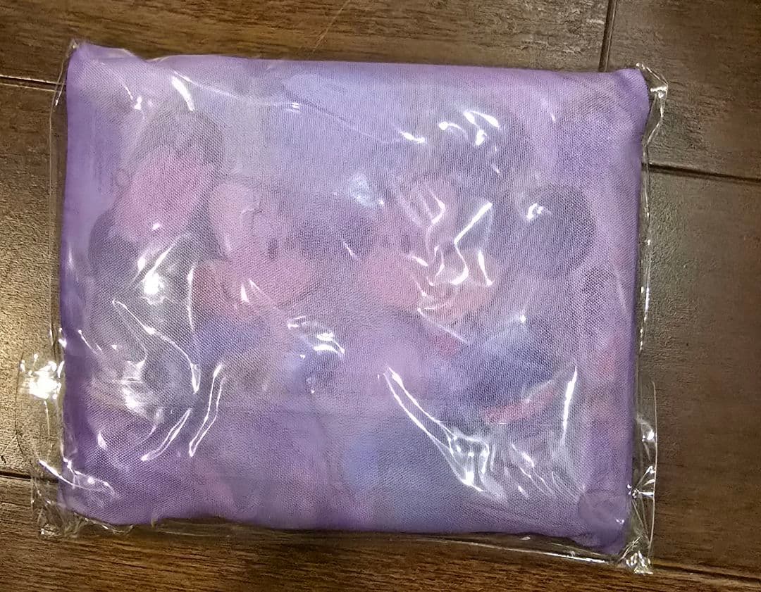 ファンタジースプリングス ホテル　限定　フォトフレーム　おまけ付き